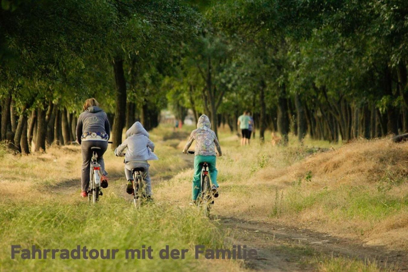 "Lilie" In Geestland-Langen, Ideal Fuer Familien & Homeoffice - Wlan & Parkplatz - 3 Zimmer, Balkon - Nahe Bremerhaven Luaran gambar